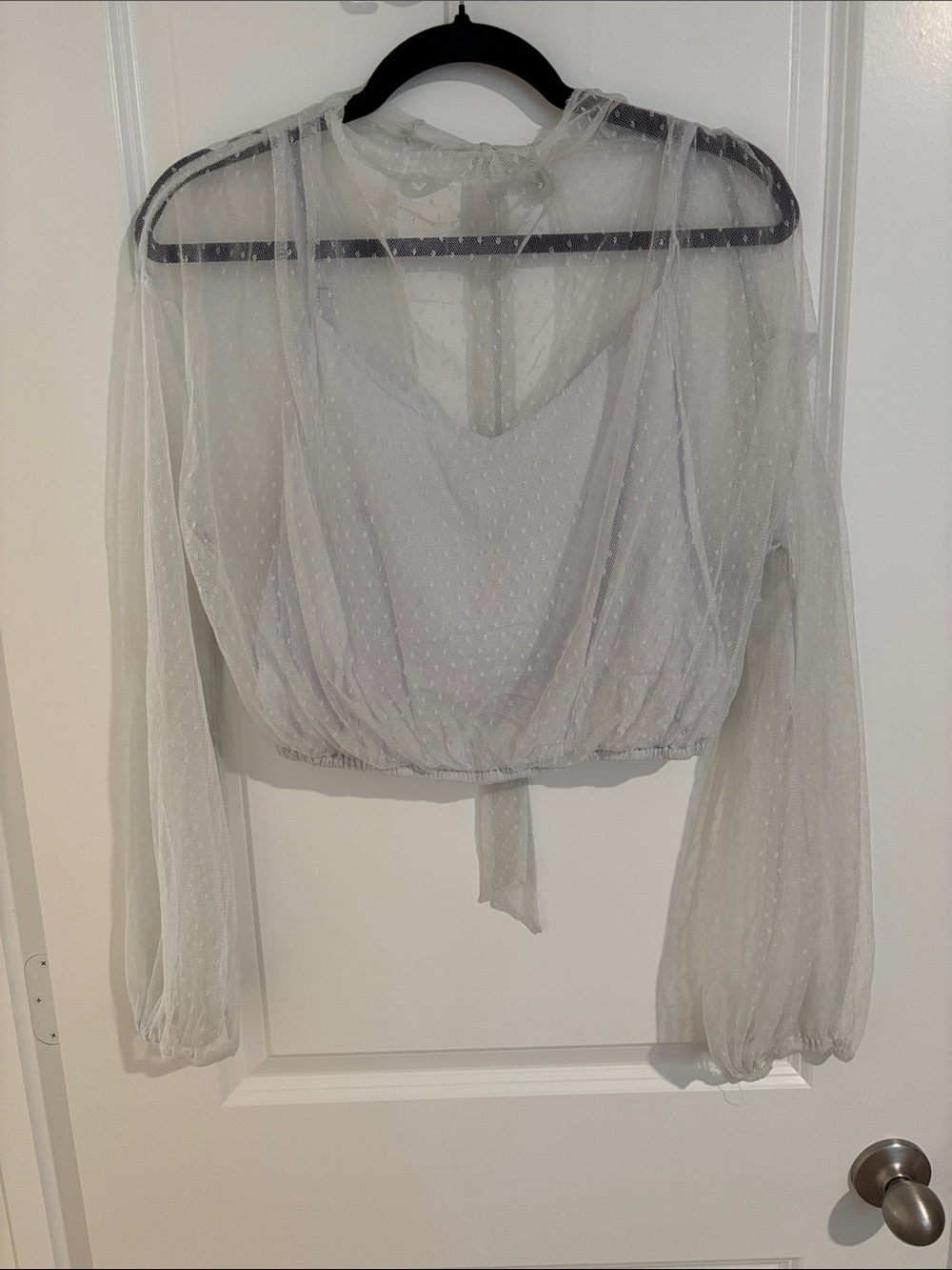 Free People Grey Sheer Long-Sleeve Cropped Top